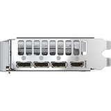 GIGABYTE GeForce RTX 5060 EAGLE OC ICE 8G, Grafikkarte DLSS 4, 3x DisplayPort, 1x HDMI 2.1