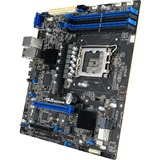 ASUS P13R-M/10G-2T, Mainboard 