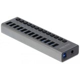 DeLOCK Externer SuperSpeed USB Hub mit 13 Ports + Schalter, USB-Hub 