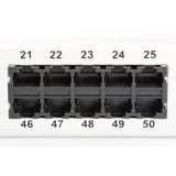 Digitus CAT 3 ISDN Patch Panel, ungeschirmt, 50 Port, Patchpanel grau, 1 HE