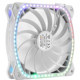 Enermax SquA RGB White 3 Pack 120x120, Gehäuselüfter weiß, inkl. RGB-Steuerbox