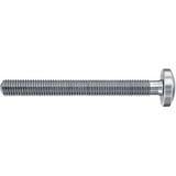 fischer Hohlraumdübel DuoHM 6x55 S TX  4 Stück, mit Panhead-Schraube