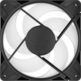 ARCTIC P14 Pro Reverse A-RGB, Gehäuselüfter schwarz, 140 mm