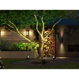 Philips Hue White & Color Ambance Lily XL Outdoor Spot Erweiterung, LED-Leuchte schwarz