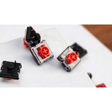 Keychron Low Profile Mechanical Red Switch-Set, Tastenschalter transparent