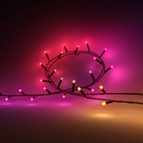 Philips HUE White & Color Ambiance Festavia Lichterkette 20m 