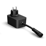 Philips Hue Hue White & Color Ambiance Festavia Lichterkette 20m 