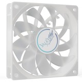 Valkyrie V12F ARGB 120, Gehäuselüfter weiß, 120 mm