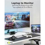 goobay USB Adapterkabel, USB-C Stecker > DisplayPort Stecker, 4K 60Hz schwarz, 3 Meter, 21,6 Gbit/s