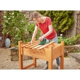 Bosch Akku-Multischleifer EasySander 18V-8 grün, ohne Akku und Ladegerät, POWER FOR ALL ALLIANCE