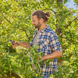 GARDENA Gartenschere PremiumCut Pro Flex grau/türkis, Bypass, Griffweite stufenlos einstellbar
