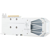 PowerColor Radeon RX 9060 XT Hellhound Spectral White 16G, Grafikkarte 