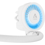 ARCTIC Liquid Freezer III 280 A-RGB, Wasserkühlung weiß