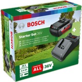 Bosch Heimwerken & Garten Starter-Set 36V (GBA 36V 2.0Ah + AL 36V-20) schwarz, 36V POWER FOR ALL, Akku + Ladegerät