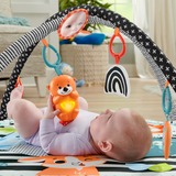 Fisher-Price Spieldecke mit Spielbogen, Licht & Musik, Spielbogen/Decke 