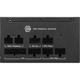 MSI MAG A750GLS PCIE5, PC-Netzteil schwarz, 1x 12VHPWR, 4x PCIe, Kabelmanagement, 750 Watt