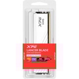 ADATA DIMM 32 GB DDR5-6000, Arbeitsspeicher weiß, AX5U6000C3032G-SLABRWH, Lancer Blade RGB, INTEL XMP, AMD EXPO