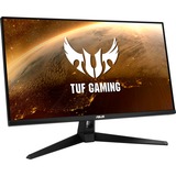 AMD Free-Sync Monitore