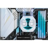 Corsair XC7 RGB PRO CPU-Wasserkühler, CPU-Kühler weiß