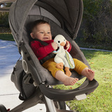 Fisher-Price Schmusegans, Kuscheltier 