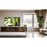 TCL 50S5L, QLED-Fernseher 127.7 cm (50 Zoll), schwarz, FullHD, Triple Tuner