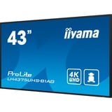 iiyama ProLite LH4375UHS-B1AG, Public Display schwarz (matt), UltraHD/4K, IPS, Lautsprecher, SDM-Slot