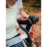 Samsung Portable SSD T7 Shield 2 TB, Externe SSD beige, USB-C 3.2 Gen 2 (10 Gbit/s), extern