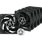 ARCTIC P8 PWM PST, Gehäuselüfter schwarz, 5er Pack, 80 mm