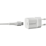 Intenso Power Adapter W30C GaN + C315C USB-C Kabel, Ladegerät weiß, 30 Watt