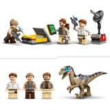 LEGO 76973 Jurassic World Raptor & Titanosaurus: Große Fährtensuche, Konstruktionsspielzeug 