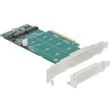 DeLOCK PCI Express x8 Karte zu 2 x intern NVMe M.2 Key M - Bifurcation, Controller 