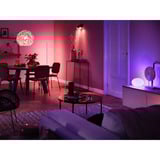 Philips Hue White & Color Ambiance Starter-Set: E27 Smarte Lampe A60 Doppelpack, LED-Lampe 