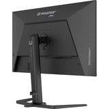 iiyama G-Master GB3295QSU-B1 Gold Phoenix, Gaming-Monitor 80 cm (31.5 Zoll), schwarz (matt), QHD, VA, HDMI, DP, FreeSync Premium, 240Hz Panel
