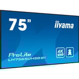 iiyama ProLite LH7565UHSB-B1, Public Display schwarz, UltraHD/4K, IPS, WiFi, Fernbedienung
