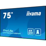 iiyama ProLite LH7565UHSB-B1, Public Display schwarz, UltraHD/4K, IPS, WiFi, Fernbedienung