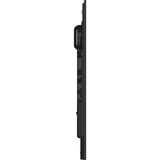 iiyama ProLite LH7565UHSB-B1, Public Display schwarz, UltraHD/4K, IPS, WiFi, Fernbedienung