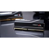 G.Skill DIMM 256 GB DDR5-6000 (4x 64 GB) Quad-Kit, Arbeitsspeicher schwarz, F5-6000J3644D64GX4-TZ5NR, TZ5 Neo, AMD EXPO