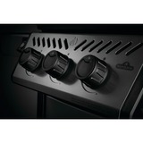 Napoleon Gasgrill Freestyle 365 Graphit graphit/schwarz