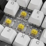 Sharkoon SKILLER SGK50 S3, Gaming-Tastatur weiß, IT-Layout, Gateron Yellow