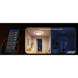 Govee 38cm Intelligente RGBICWW Deckenleuchte Pro, LED-Leuchte 