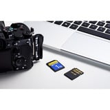 ADATA Premier Extreme SDXC SD8.0 1 TB, Speicherkarte schwarz, SD8.0 Express, UHS-I U3, Class 10, V30