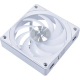 Lian Li UNI FAN CL120 Wireless, Gehäuselüfter weiß, 3er Set, 120 mm