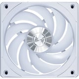 Lian Li UNI FAN CL120 Wireless, Gehäuselüfter weiß, 3er Set, 120 mm