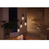 Philips Hue Hue White Ambiance Filament Lampe E27 Edison ST64 550, LED-Lampe 