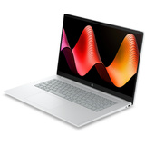 HP Omnibook 3 17-dp0058ng, Notebook silber, AMD Ryzen 5 40, AMD Radeon 610M, 16 GB LPDDR5, 512 GB (512 GB SSD), ohne Betriebssystem