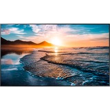 Samsung QH75C, Public Display schwarz, UltraHD/4K, WLAN, Bluetooth, HDMI, DP