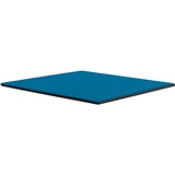 Thermal Grizzly Minus Pad Advance - 100x100x2,0 mm, Wärmeleitpads 2er Pack
