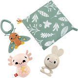 Fisher-Price Sensorische Erlebnisse Geschenkset, Beißring 4 sensorische Spielzeuge