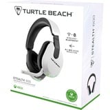 Turtle Beach Stealth 600 (Gen 3), Gaming-Headset weiß, XBox, USB-A, Bluetooth