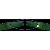 Thermaltake CT120 EX Reverse ARGB Sync PC Cooling Fan Racing Green, Gehäuselüfter grün, 3er-Pack, 120 mm